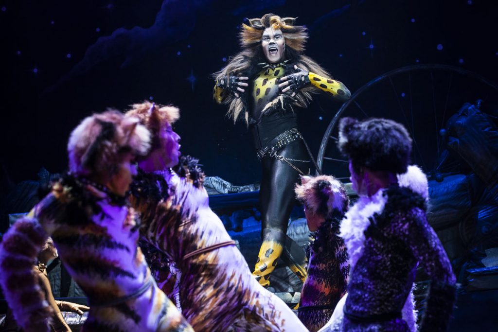 Cats - Broadway Theater League of Utica